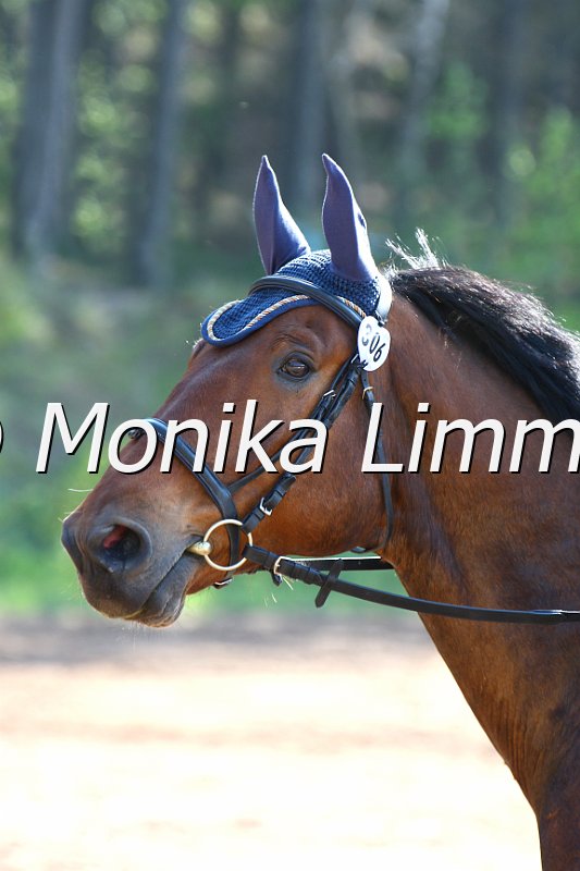 004M1499_Reichstein Nicole_e.jpg